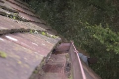 Gutter-Cleaning8