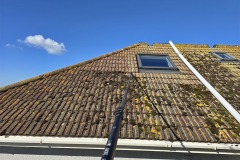 Roof-Cleaning3