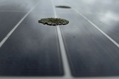 Solar-Pannel-Clean