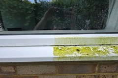 Window-Cleaning2